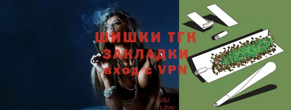 спиды Татарск