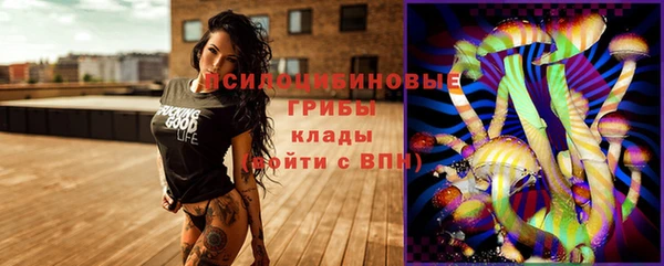 спиды Татарск