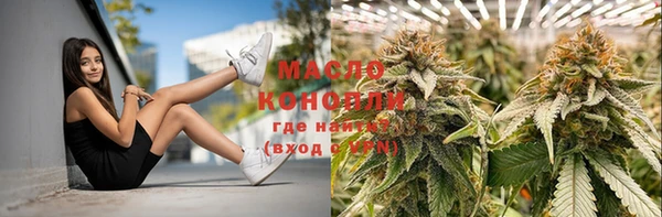 гидропоника Пересвет